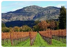 California Wine County