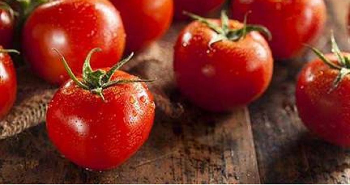 New BOP component Food quiz Dermatitis Academy