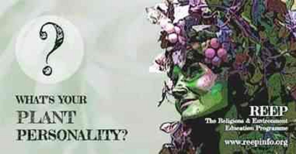 What's Your Plant Personality? Take the Quiz QuizMaker