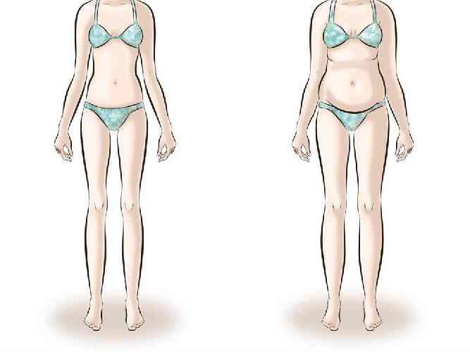 Longilinea, esile, asciutta, poco muscolosa, anche troppo magra
