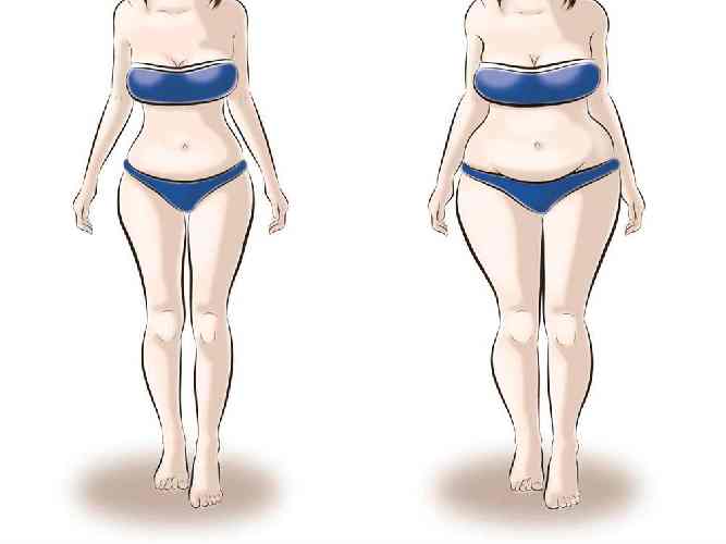 Curvilinea, morbida, rotondeggiante, con muscoli poco accentuati