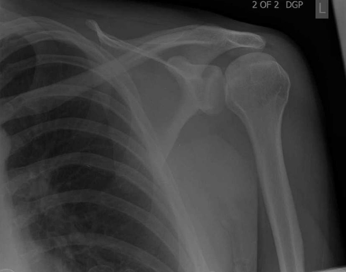 msk-level-1-take-the-quiz-quizmaker