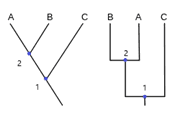 Identical_cladograms.svg