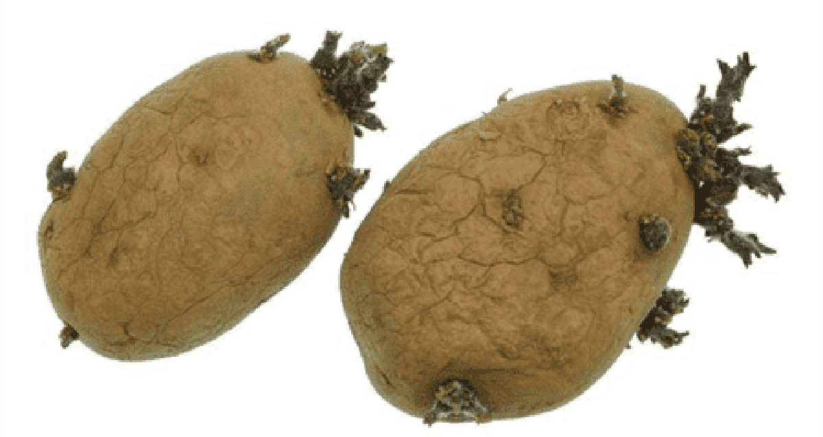 Chemia Węglowodory Sprawdzian 3 Gimnazjum Quiz