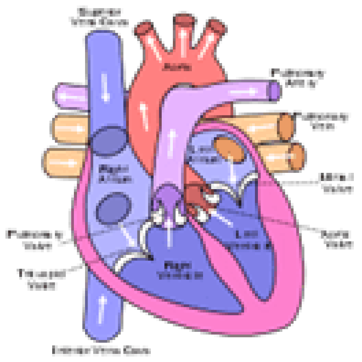 Disney Channel Show Christmas Specials