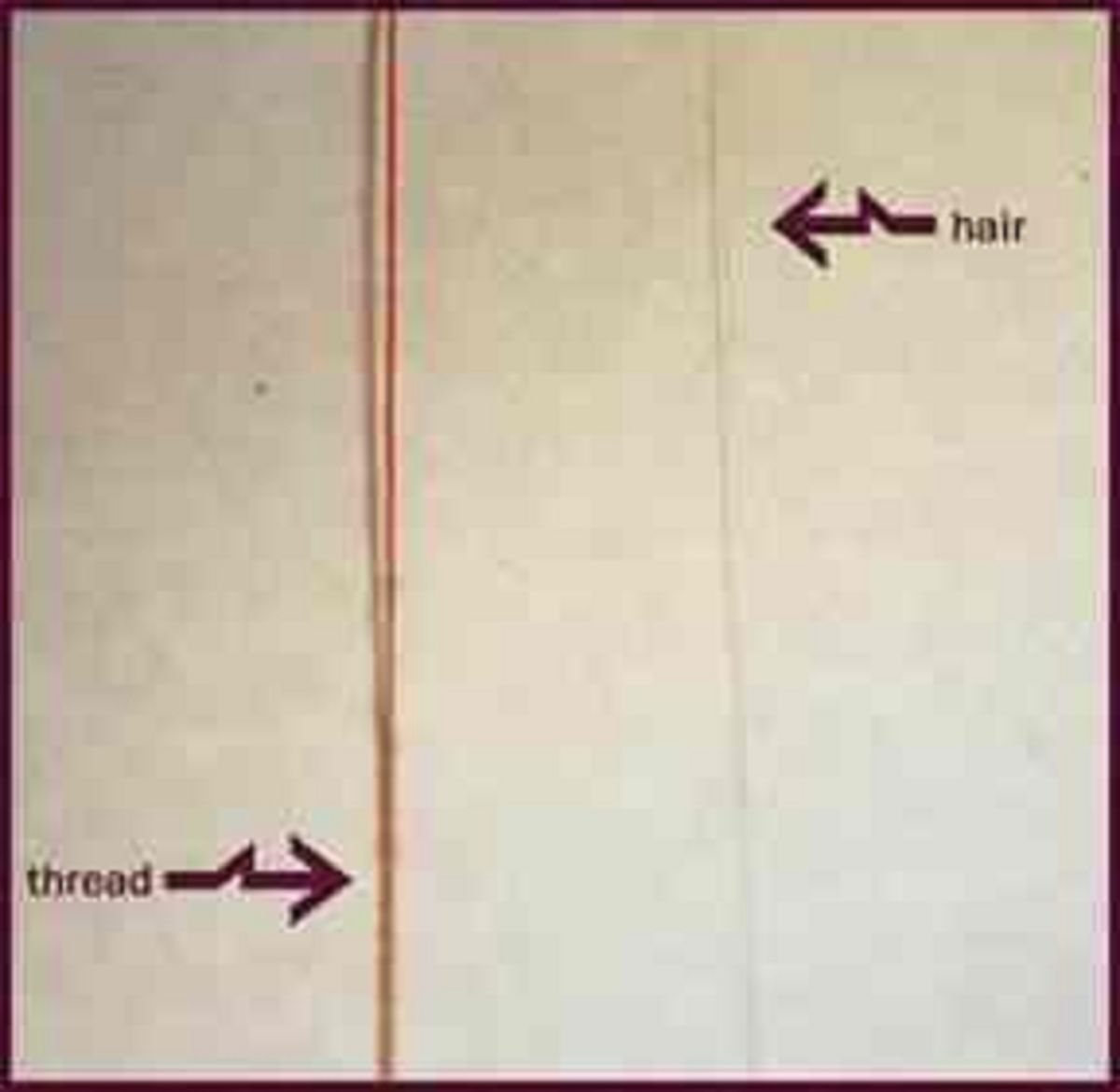 My Afro Baby Type, Texture and Porosity Assessment | Take the Quiz ...