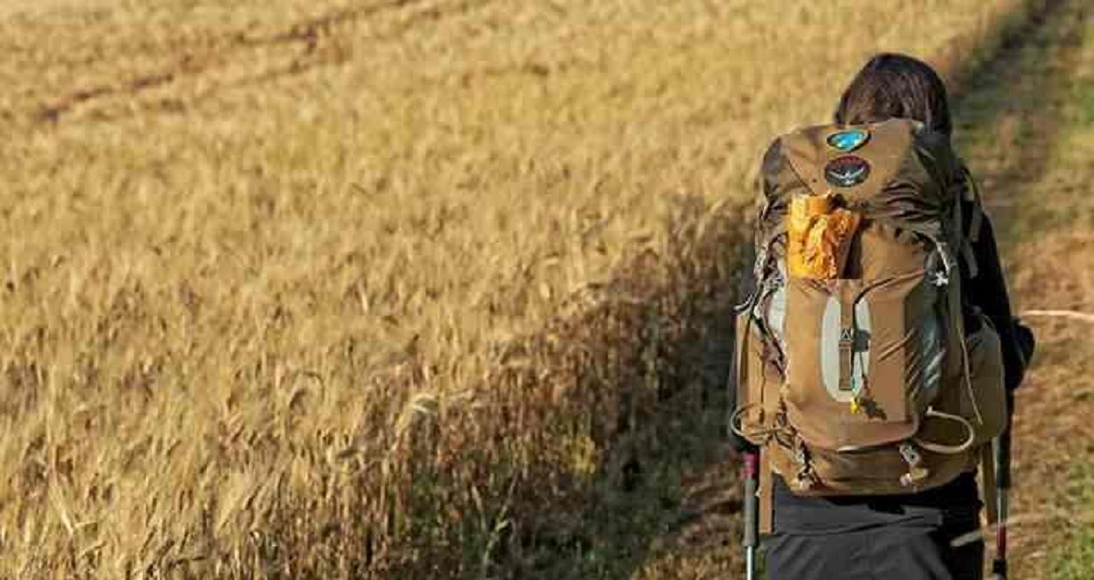 Camino Master Quiz test Your Knowledge About The Camino Welcome To camino-master-quiz-test-your-knowledge-about-the-camino-welcome-to