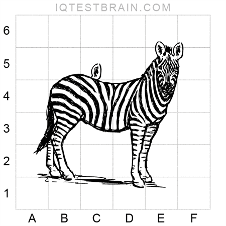 Absurdus_Animalia_Form_A-01