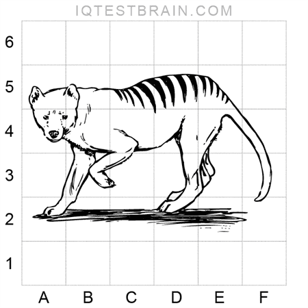 Absurdus_Animalia_Form_A-07