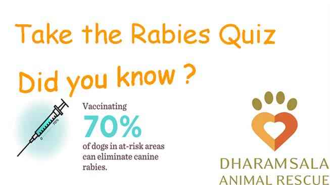 Rabies Quiz graphis