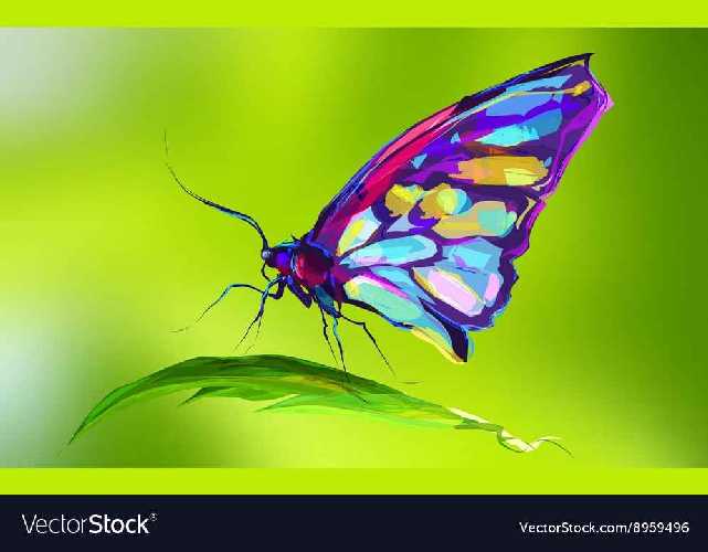 the-cute-colored-butterfly-on-the-grass-vector-8959496