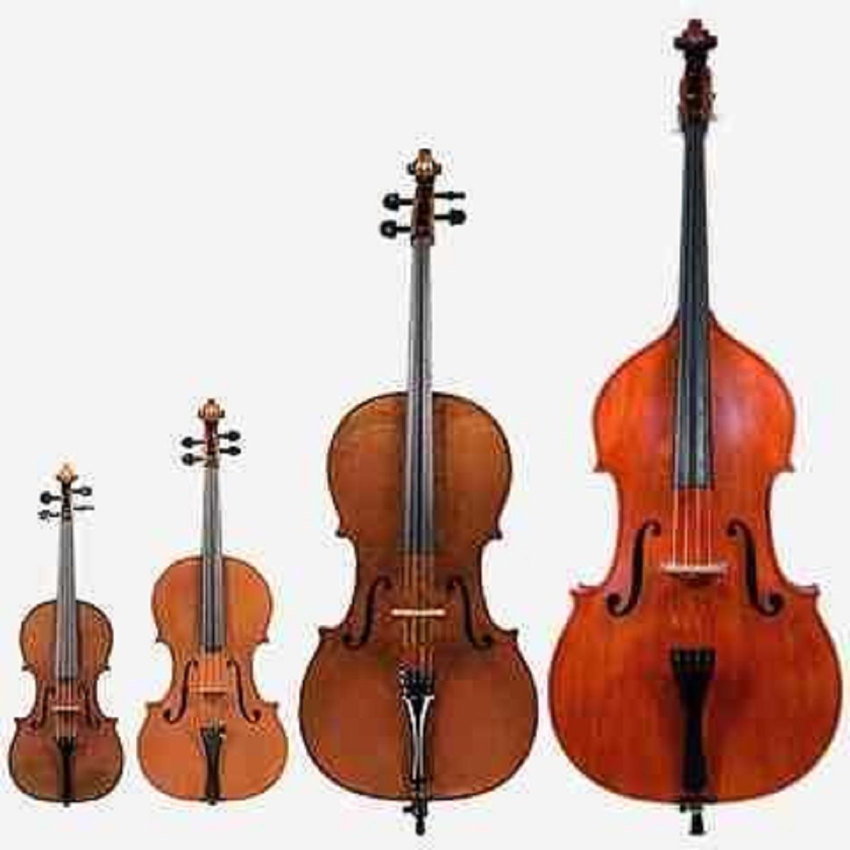 String-Struck instruments