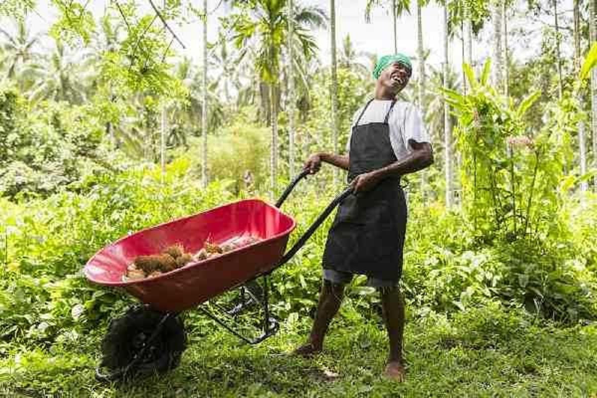 How Sustainable Are You? Take the Quiz QuizMaker