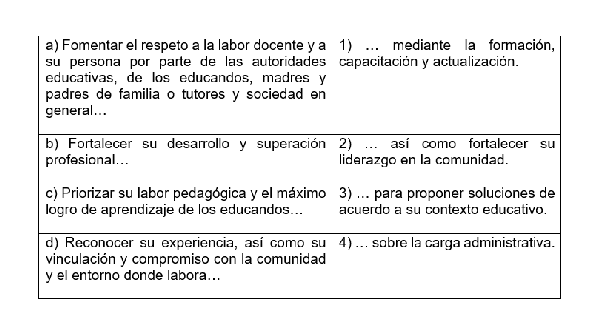 Imagen 13