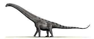 330px-Argentinosaurus_BW