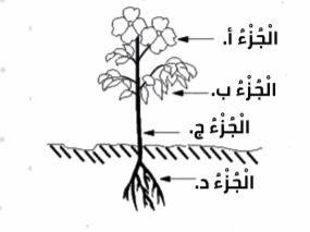 Screenshot 2020-09-20 145957