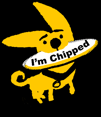 I'm Chipped