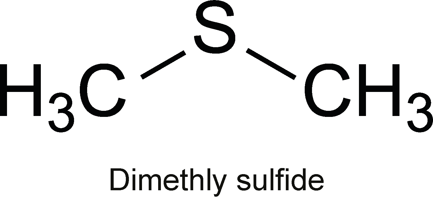 dimethyl sulfide