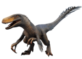 Utahraptor 