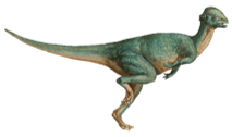 Stegoceras