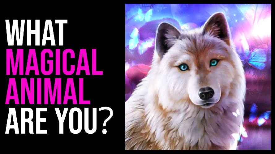 WHAT MAGICAL ANIMAL ARE YOU _