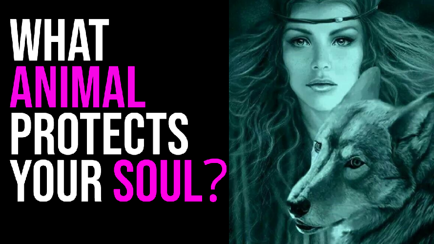 WHAT ANIMAL PROTECTS YOUR SOUL _