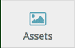 Assets tab 