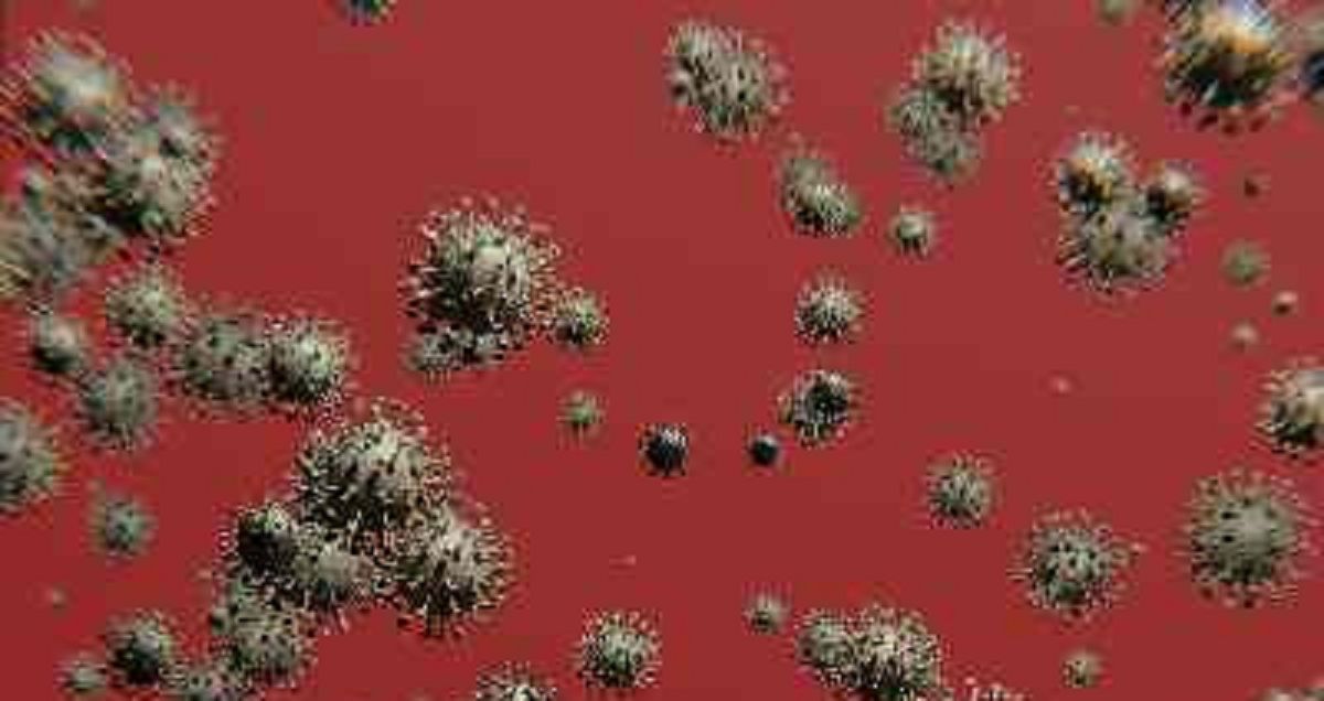 Bloodborne pathogens take the quiz quizmaker
